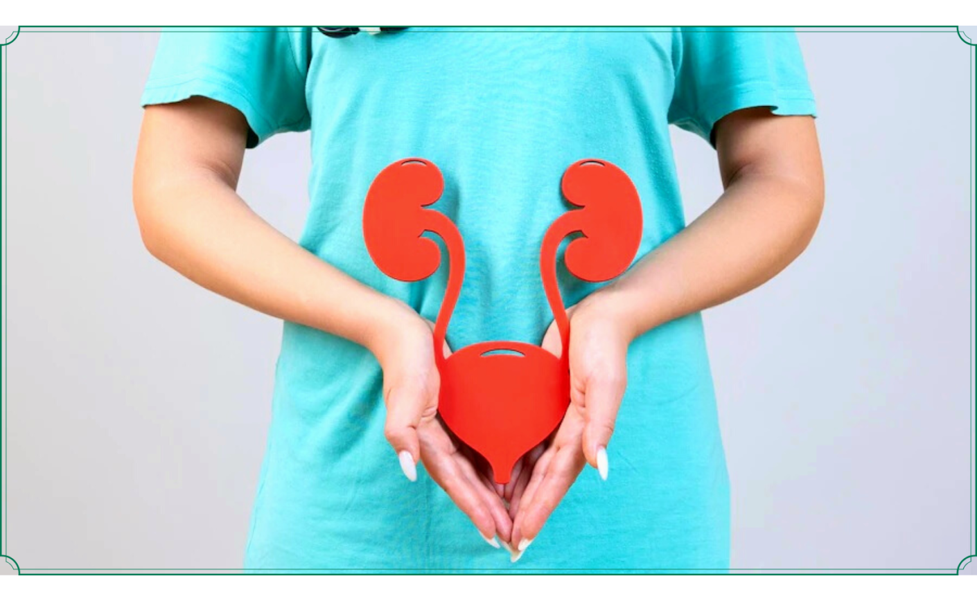 Comment choisir le bon cathéter